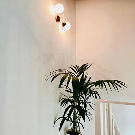 Luxury Penthouse Center Appartement